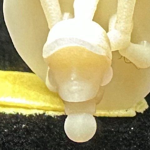 【3Dプリンター出力品】カスタム頭部パーツ 男性セット2(8種)