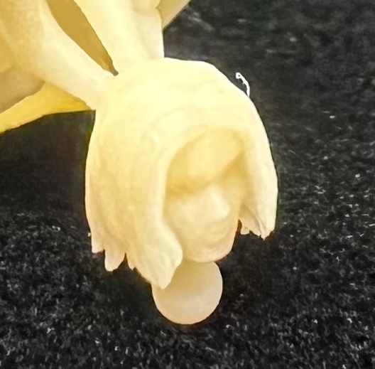 【3Dプリンター出力品】カスタム頭部パーツ 男性 若者A ウェーブロン毛