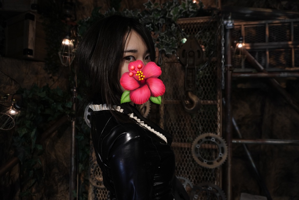 【写真集】フィメールマスク