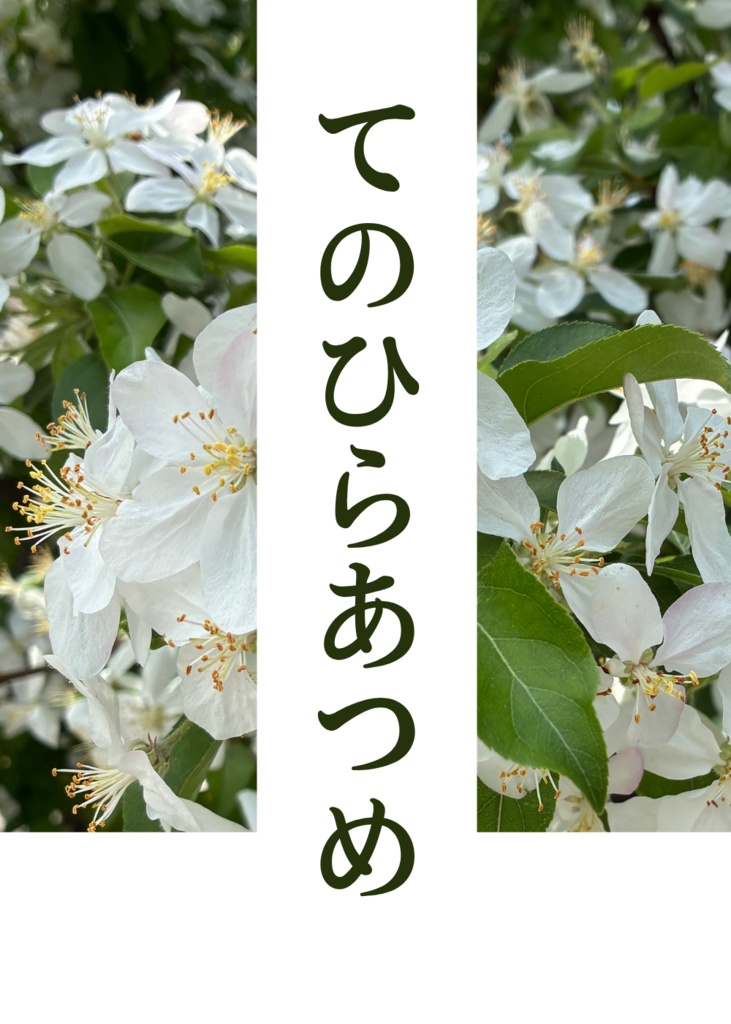 てのひらあつめ