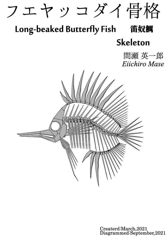 フエヤッコダイ骨格 折り図 Long-beaked Butterfly Fish Skeleton Diagram