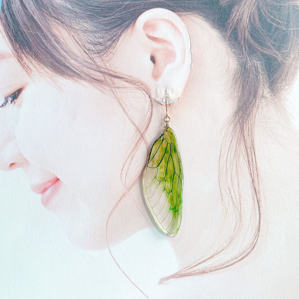 羽化直後のセミの翅耳飾り(大)