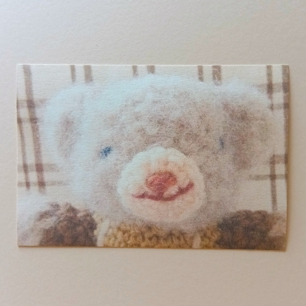 🐼31 ポストカード