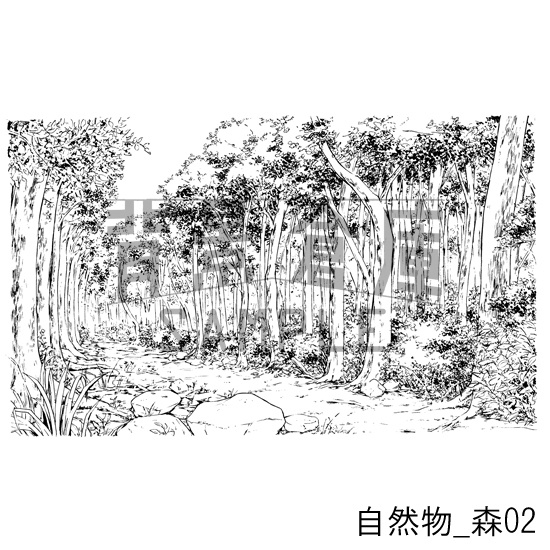 自然物の背景_森02