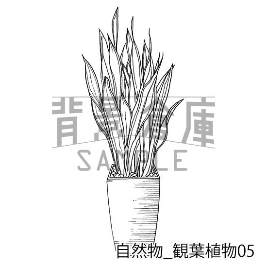 自然物の背景集_セット2(観葉植物)
