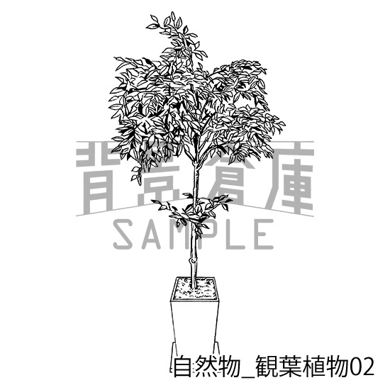 自然物の背景集_セット2(観葉植物)