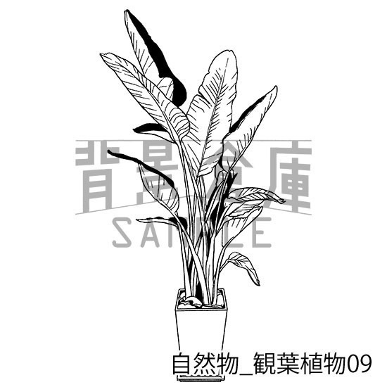 自然物の背景集_セット2(観葉植物)
