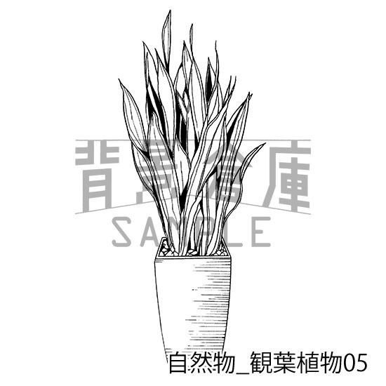 自然物の背景集_セット2(観葉植物)