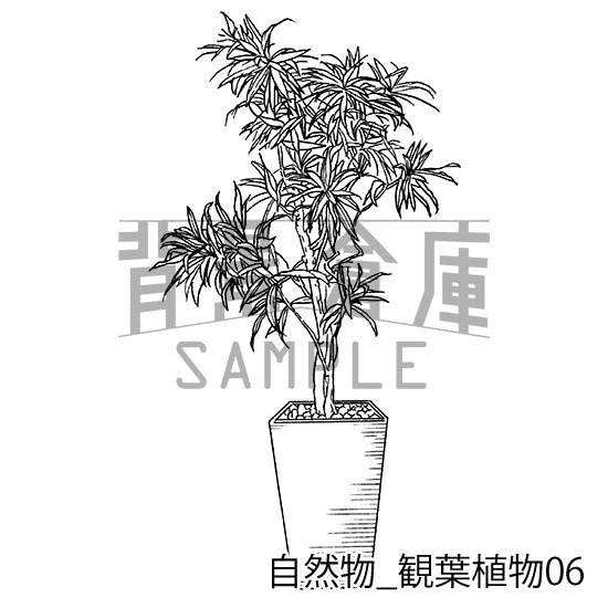 自然物の背景集_セット2(観葉植物)