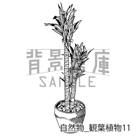 自然物の背景集_セット2(観葉植物)