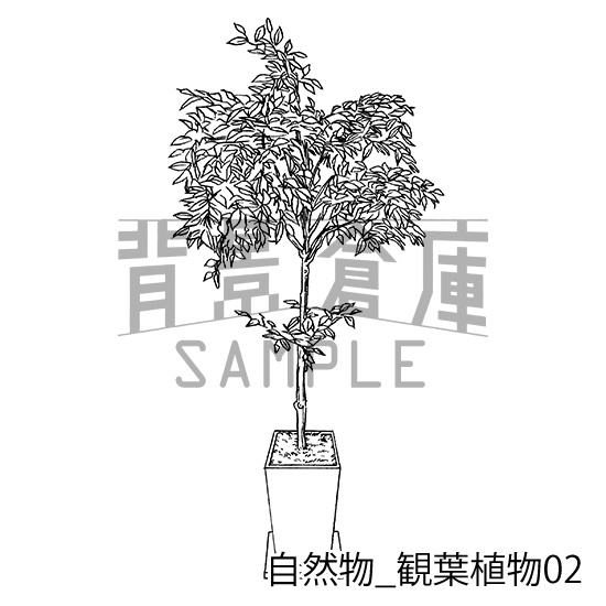 自然物の背景集_セット2(観葉植物)