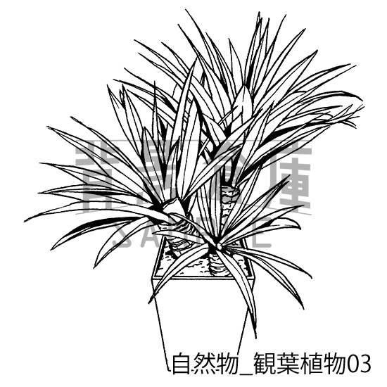 自然物の背景集_セット2(観葉植物)