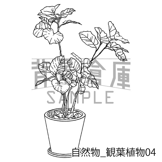 自然物の背景集_セット2(観葉植物)
