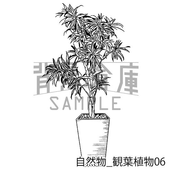 自然物の背景集_セット2(観葉植物)