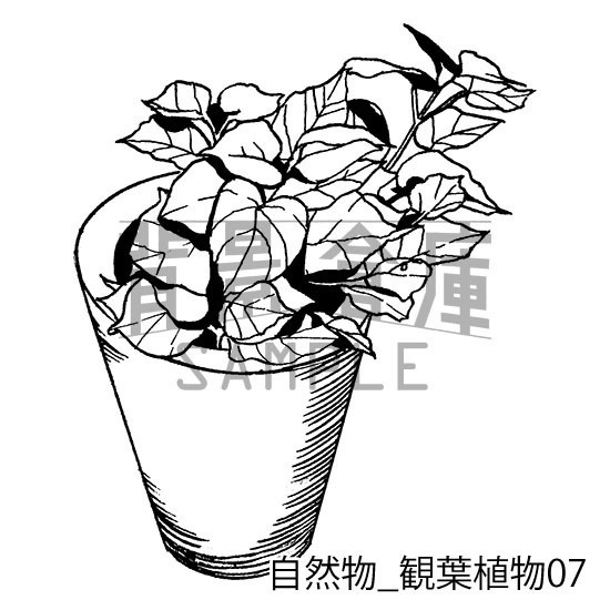 自然物の背景集_セット2(観葉植物)