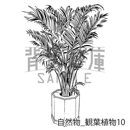 自然物の背景集_セット2(観葉植物)