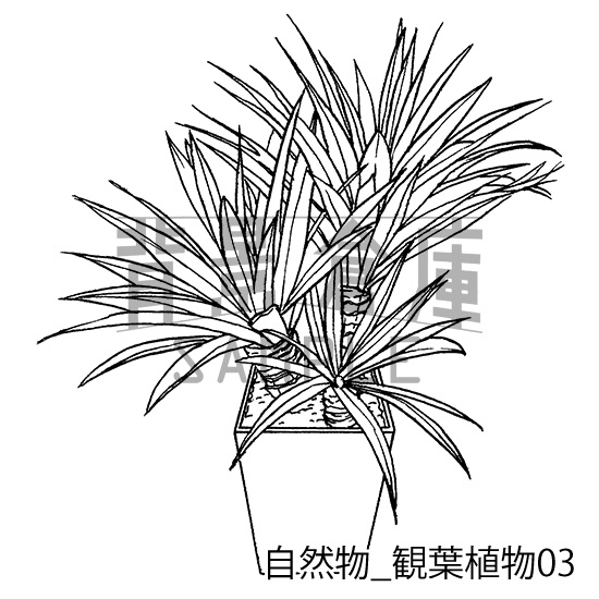 自然物の背景集_セット2(観葉植物)