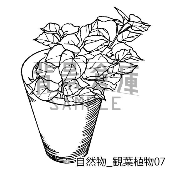 自然物の背景集_セット2(観葉植物)