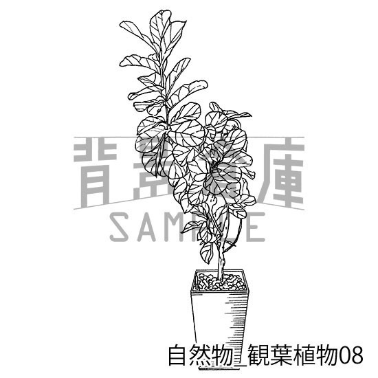 自然物の背景集_セット2(観葉植物)