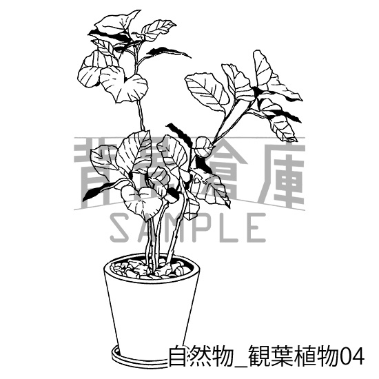 自然物の背景集_セット2(観葉植物)