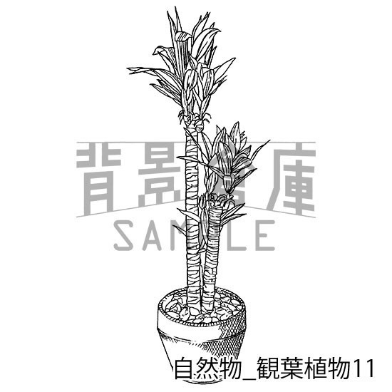 自然物の背景集_セット2(観葉植物)
