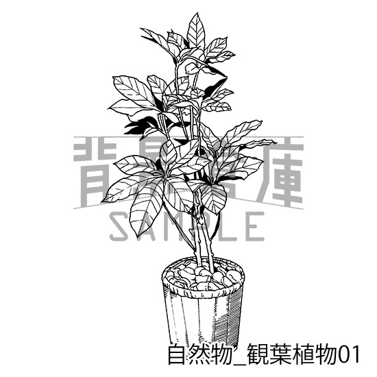 自然物の背景集_セット2(観葉植物)