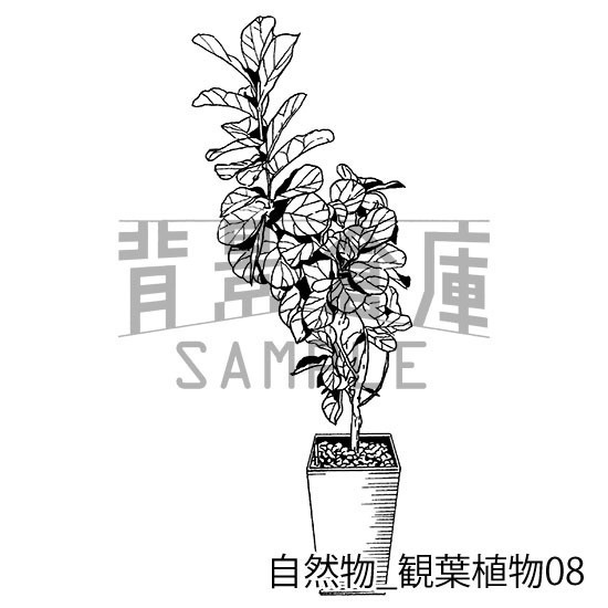 自然物の背景集_セット2(観葉植物)