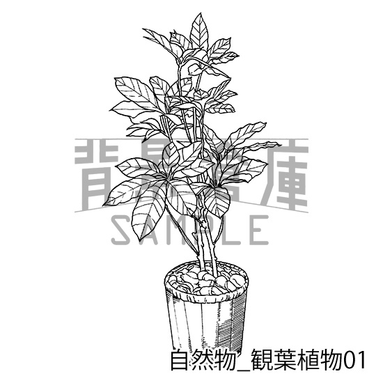 自然物の背景集_セット2(観葉植物)