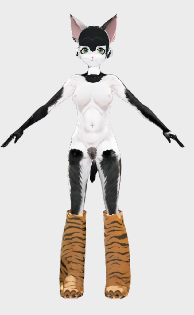 マエコの物語: 知られざる世界への到着The Story of Maeko: Arrival in the Unknown World