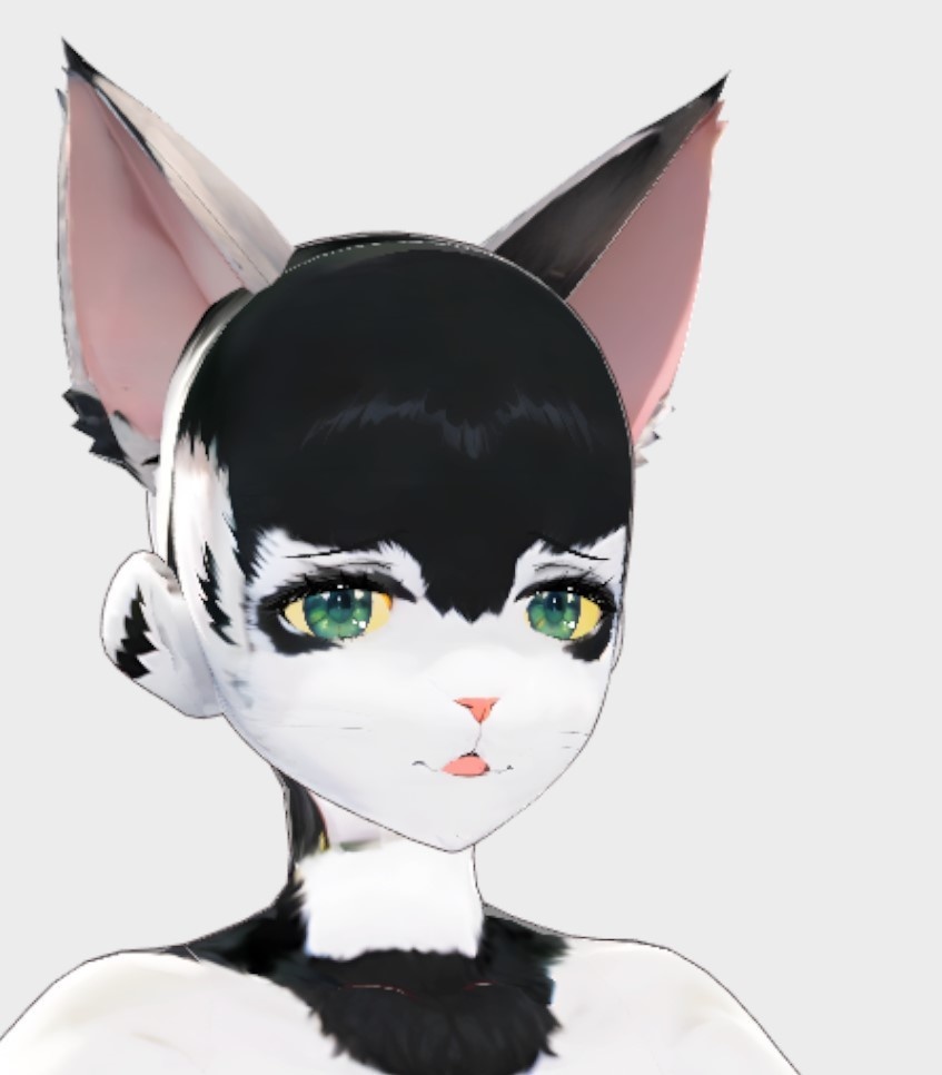 マエコの物語: 知られざる世界への到着The Story of Maeko: Arrival in the Unknown World