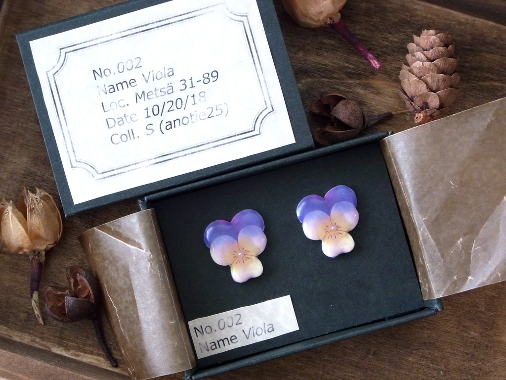 ビオラのピアス・イヤリング