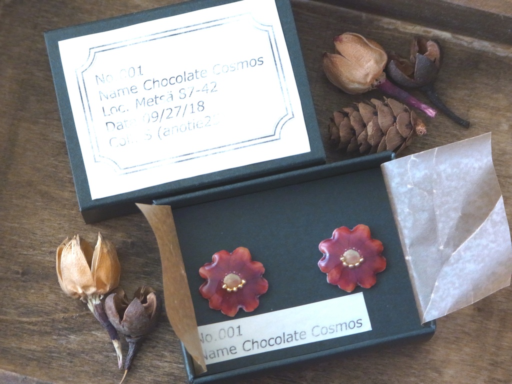 チョコレートコスモスのピアス・イヤリング