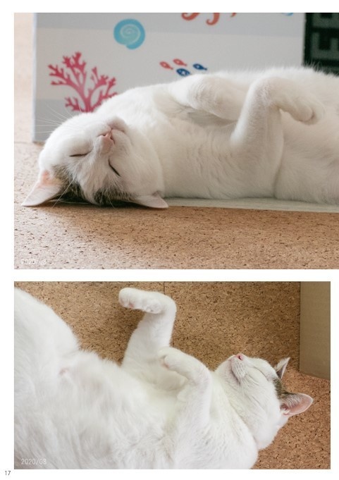 へちま3 ~大人の階段のぼりおり~