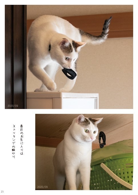 へちま3 ~大人の階段のぼりおり~