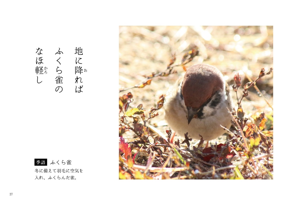 パシャッと俳句