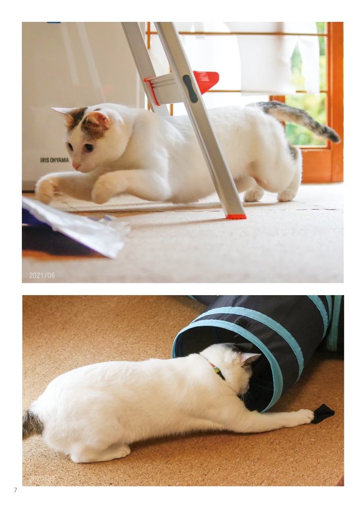 へちま4 ~まいにちムキムキ~