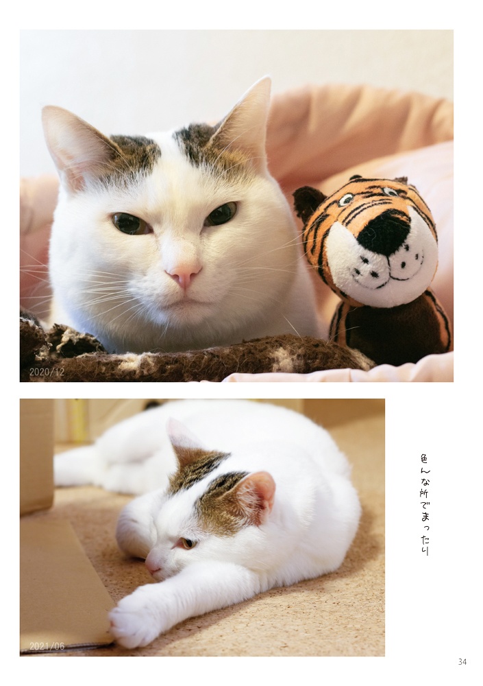 へちま4 ~まいにちムキムキ~