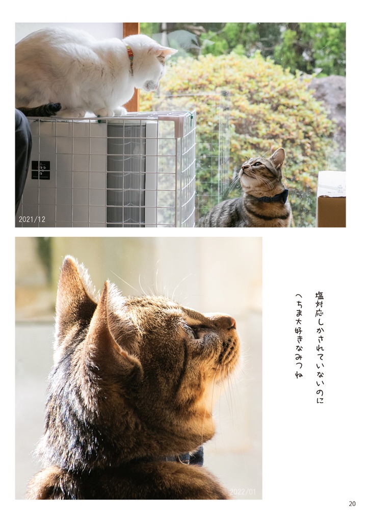 へちまとみつね1〜かぞくがふえたよ〜