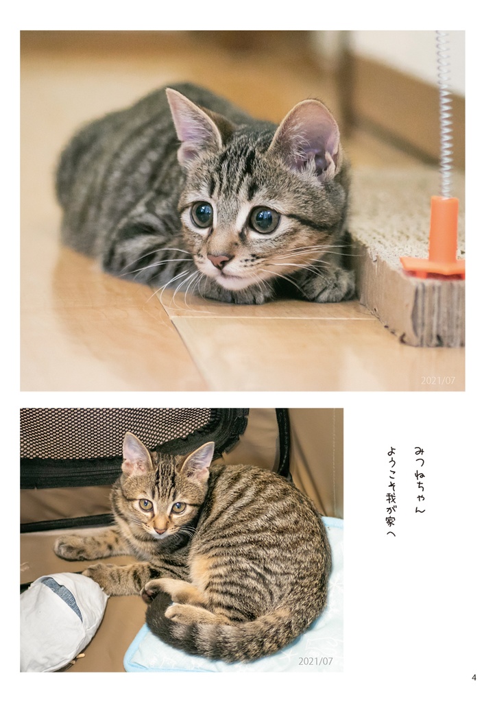 へちまとみつね1〜かぞくがふえたよ〜