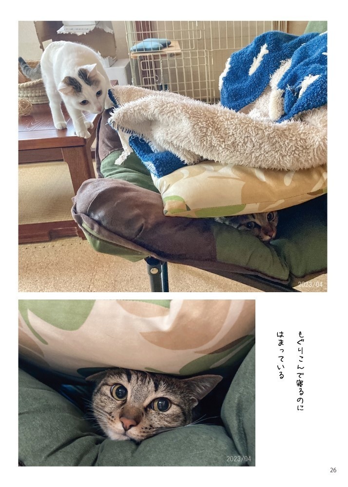 へちまとみつね2〜びみょうなかんけい〜