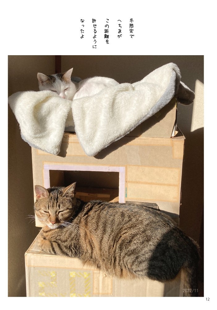 へちまとみつね2〜びみょうなかんけい〜