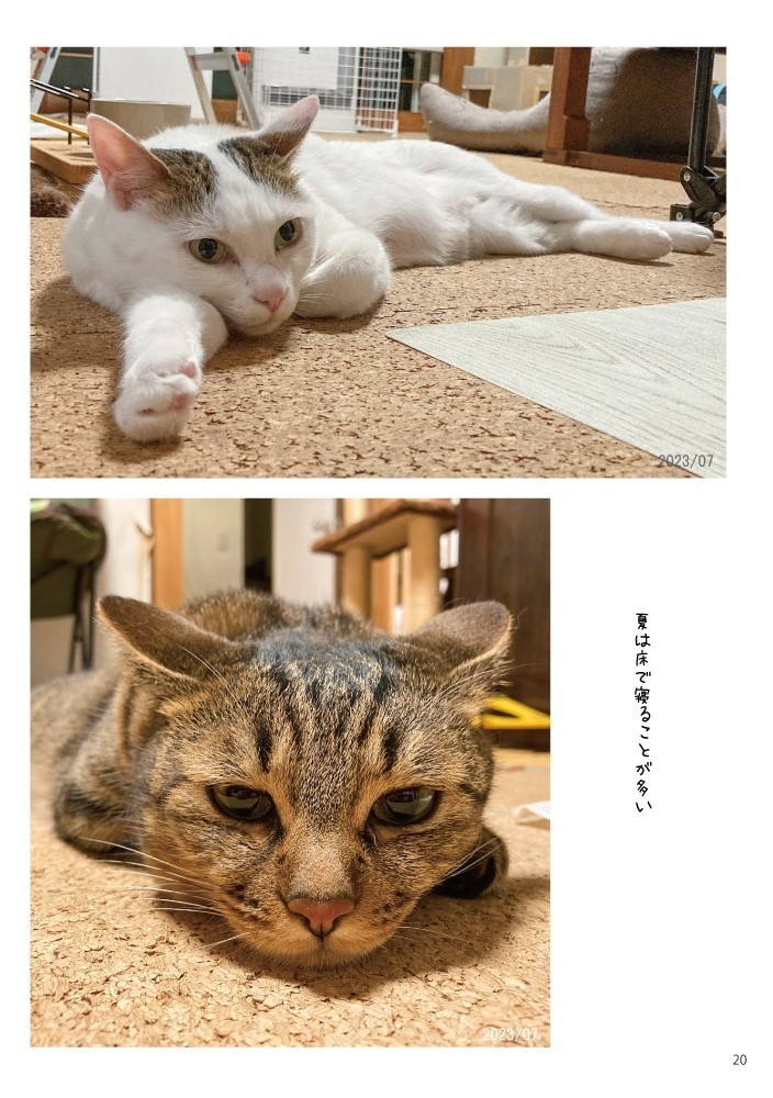 へちまとみつね2〜びみょうなかんけい〜