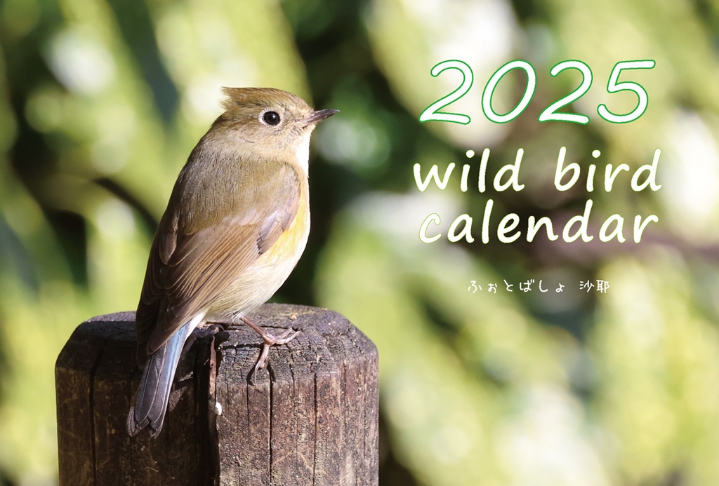 2025年度 野鳥カレンダー（卓上、ケース付き）