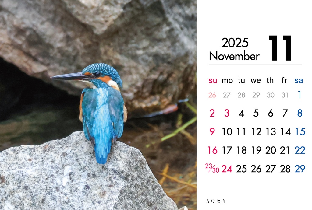 2025年度 野鳥カレンダー(卓上、ケース付き)