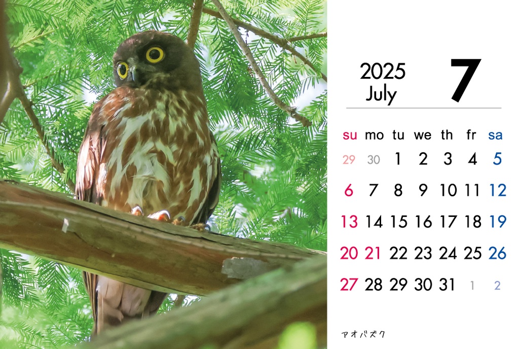 2025年度 野鳥カレンダー(卓上、ケース付き)