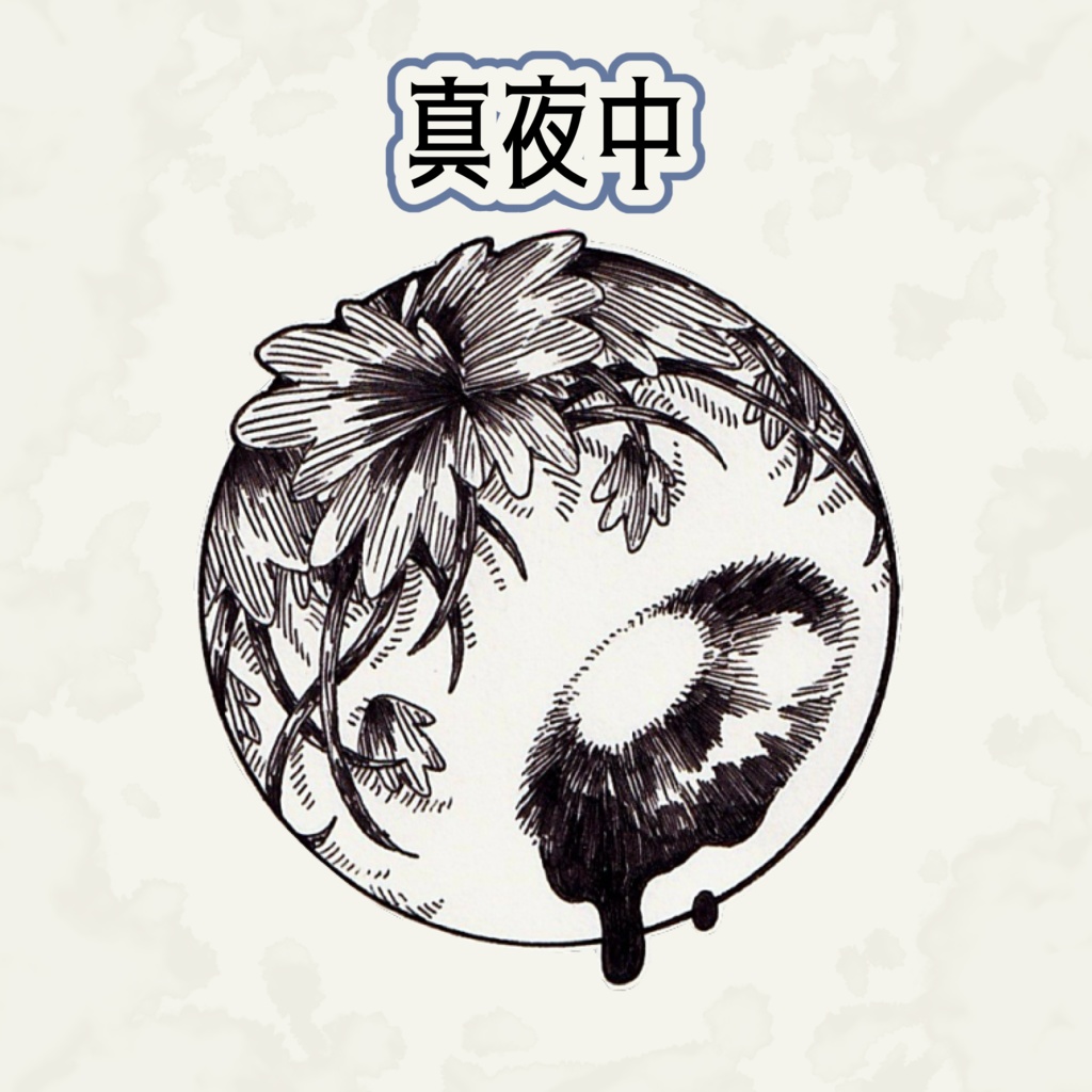 時の目 アクキー