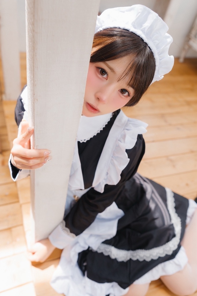 Secret Maid