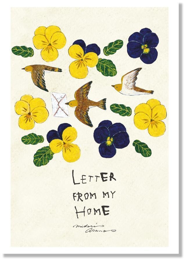 Letter From My Home