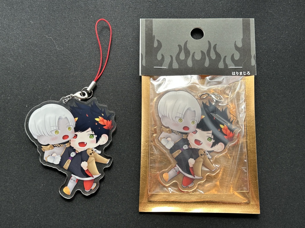 抱っこアクキー