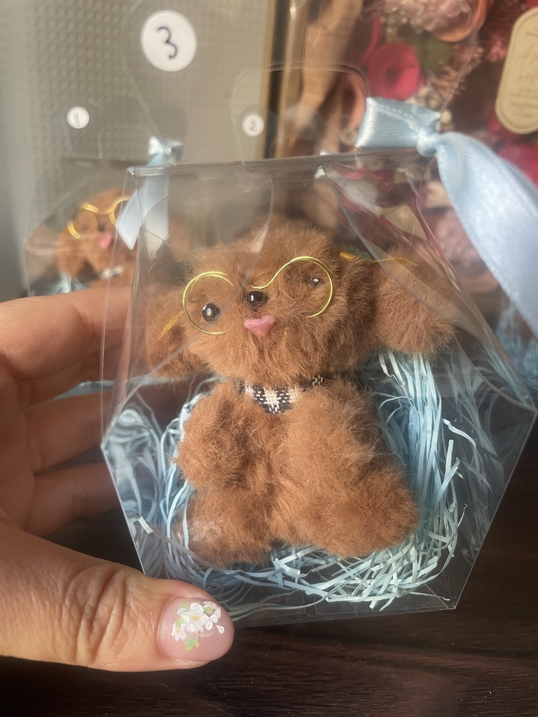 【限定5】ゆうみトイプードール